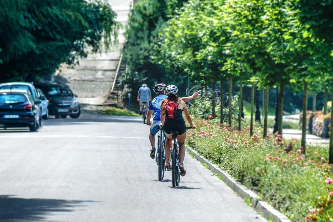 Environmental Charity - fuel free