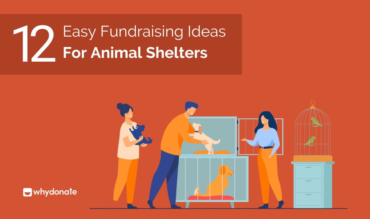 12 Easy Fundraising Ideas for Animal Shelters