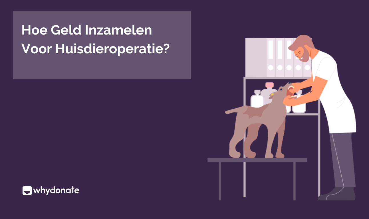 Hoe je voor Huisdier Operatie Geld kunt Inzamelen – Fondsenwerving voor Huisdier