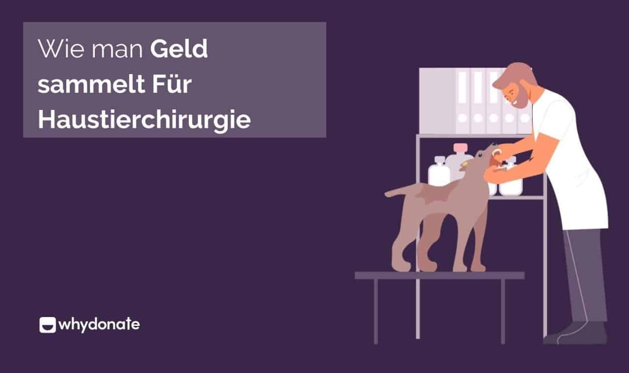 Wie Man Geld Für Haustieroperationen Sammelt – Fundraising Für Die Gesundheitsversorgung Ihres Haustiers
