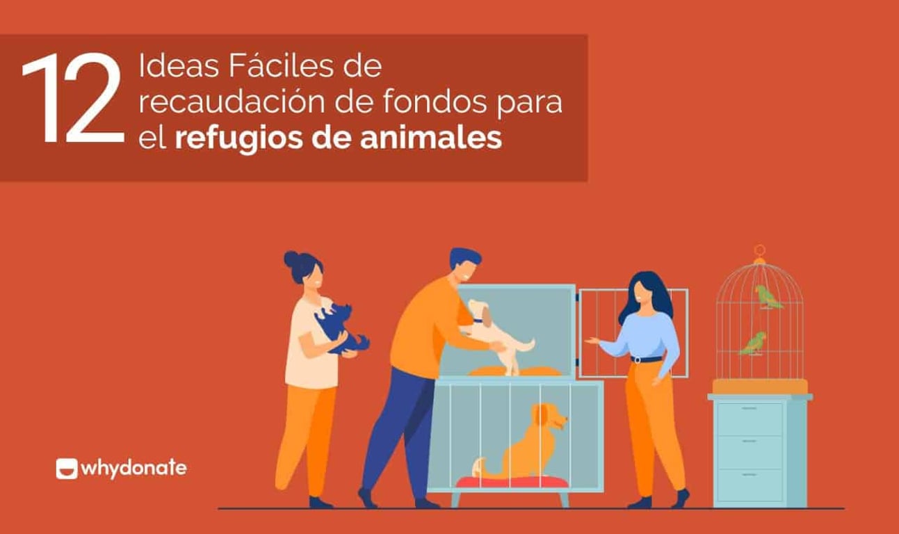 12 Ideas Fáciles para Recaudar Dinero para Refugios de Animales