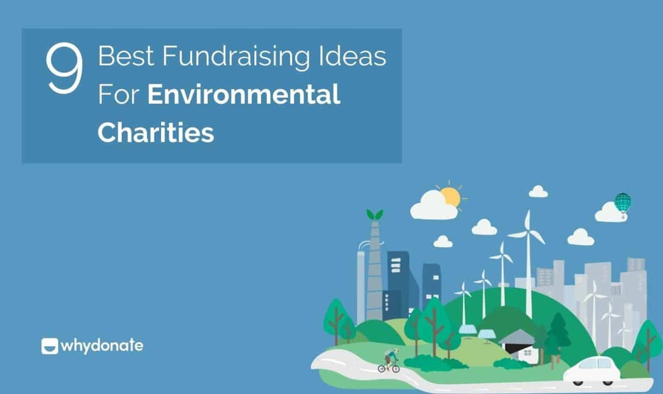 11 Best Fundraising Ideas For Environmental Charities