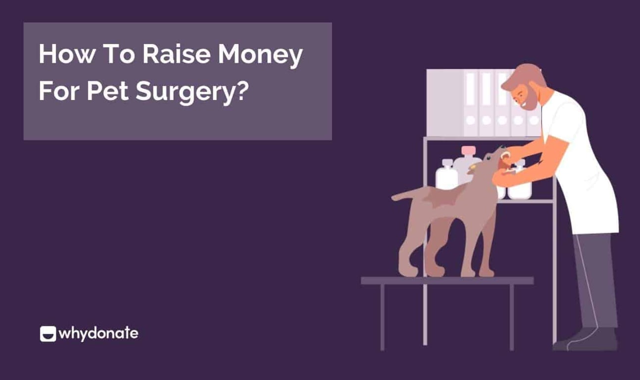 How to Raise Money for Pet Surgery: Practical Tips, Tools & Fundraising Ideas