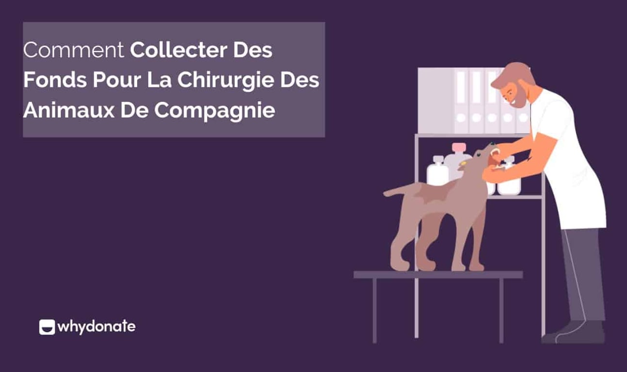 Soins De Santé De Animal De Compagnie: Comment Collect Des Fonds Pour La Chirurgie Animaux De Compagnie