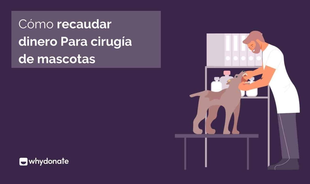 Cómo Recaudar Dinero para la Cirugía de Mascotas – Recaudar Fondos para la Atención Médica de Tu Mascota