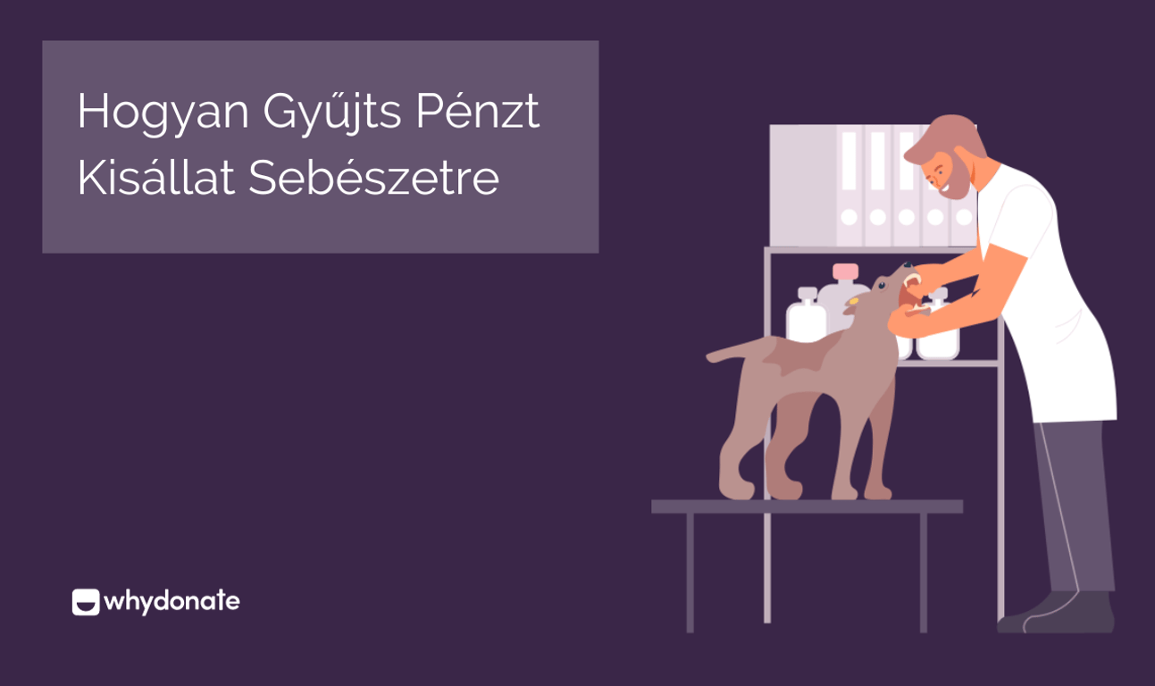 7 Adománygyűjtési Ötlet, Hogy Pénzt Gyűjteni Kisállat Műtétre