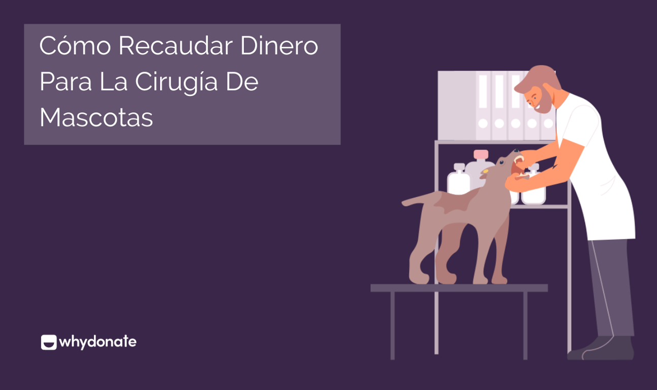 Come raccogliere fondi per un’operazione chirurgica all’animale domestico – Raccolta Fondi per l’assistenza sanitaria al tuo animale domestico