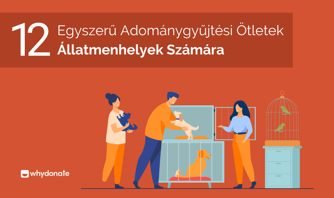 12 Egyszerű Adománygyűjtési Ötletek Állatmenhelyek Számára