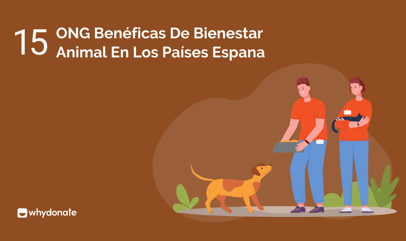 Las 15 Mejores ONG Benéficas Para El Bienestar Animal En Espana