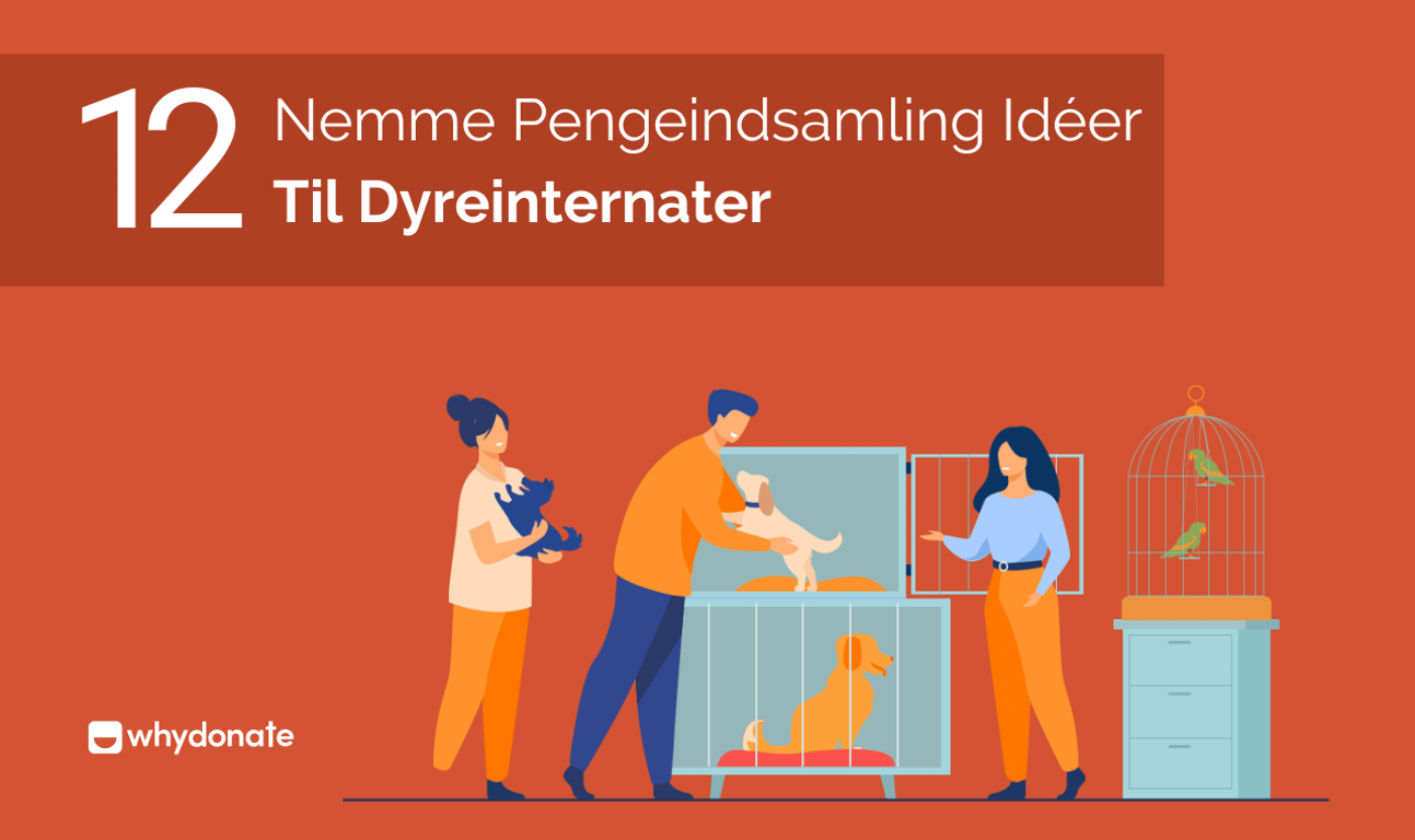 12 Nemme Pengeindsamling Idéer Til Dyreinternater