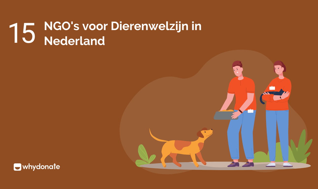 Top 17 Dieren Goede Doelen & NGO’s in Nederland: De Beste Charities om te Steunen (2026)
