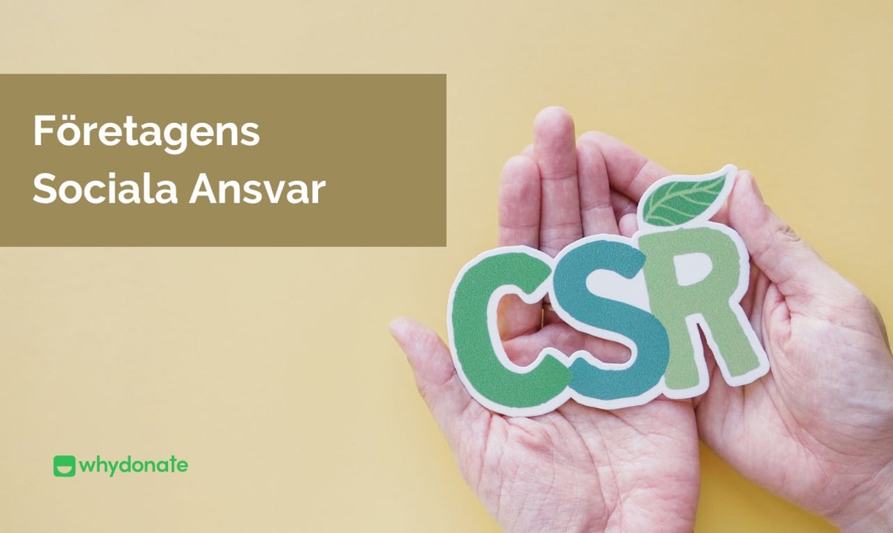 Företagens Sociala Ansvar Inom Crowdfunding – En Analys