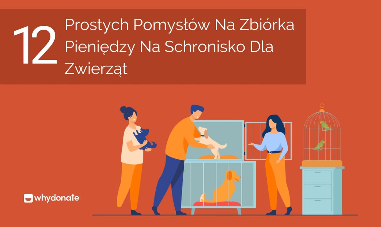 12 Prostych Pomysłów Na Zbiórka Pieniędzy Na Schronisko Dla Zwierząt