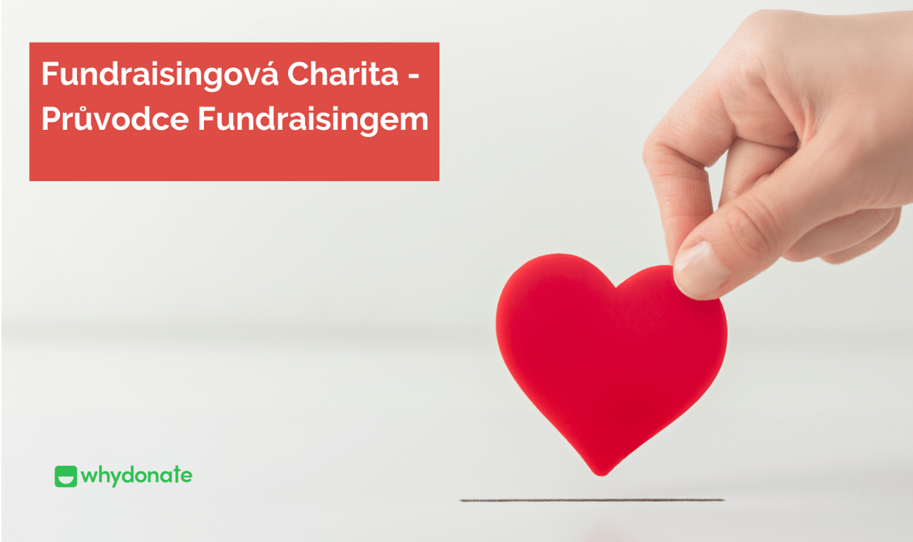 Průvodce Charitativním Fundraisingem: Druhy Fundraisingu Charita