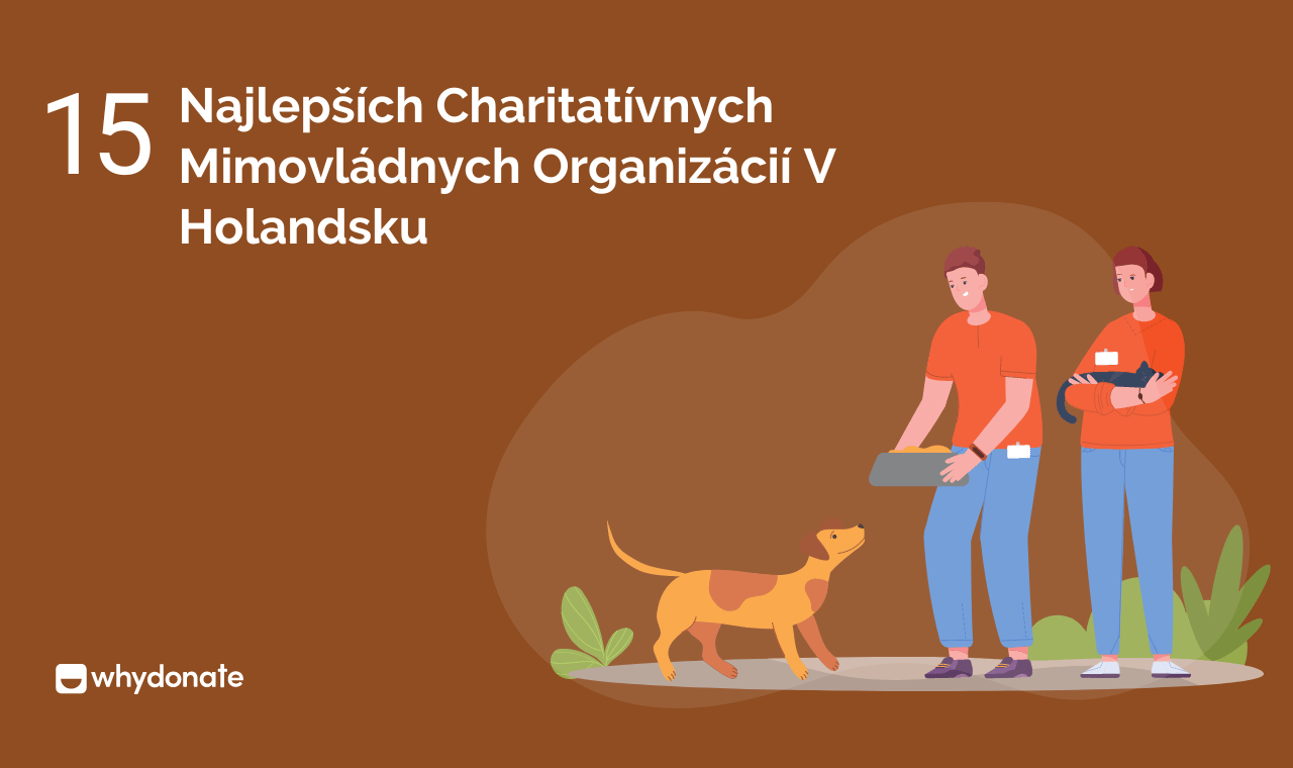 15 Najlepších Charitatívnych Mimovládnych Organizácií V Holandsku