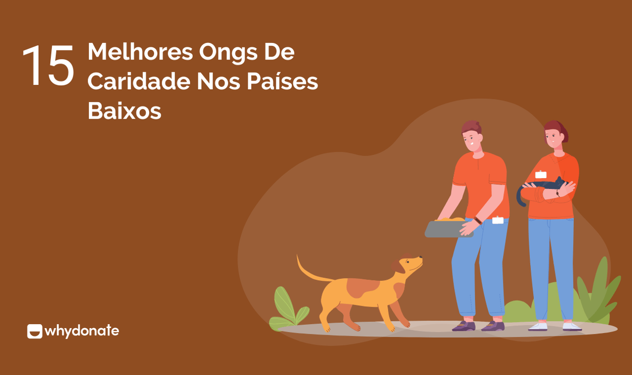 15 Melhores Ongs De Caridade Nos Países Baixos