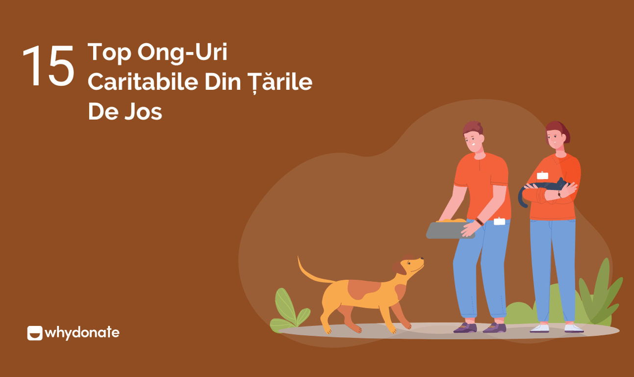 Top 15 Ong-Uri Caritabile Din Țările De Jos