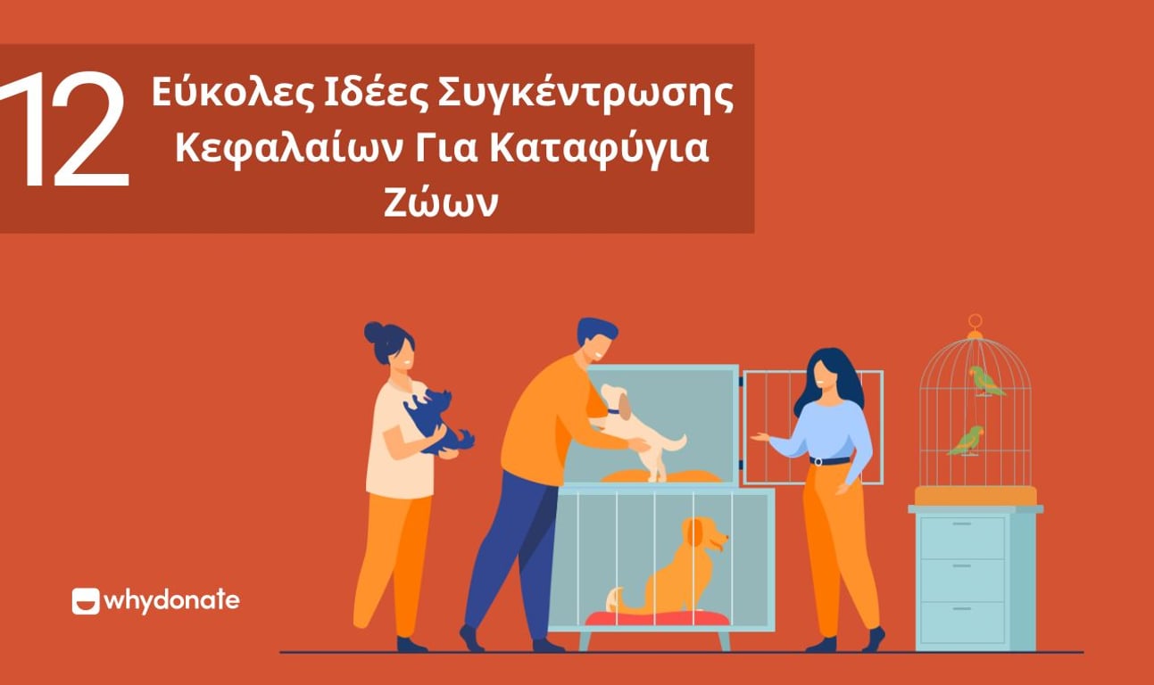 12 Εύκολες Ιδέες Συγκέντρωσης Κεφαλαίων Για Καταφύγια Ζώων