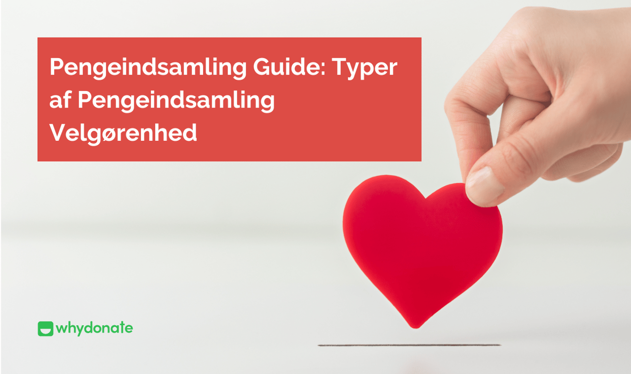 En Guide Til Pengeindsamling: Typer Af Pengeindsamling Velgørenhed