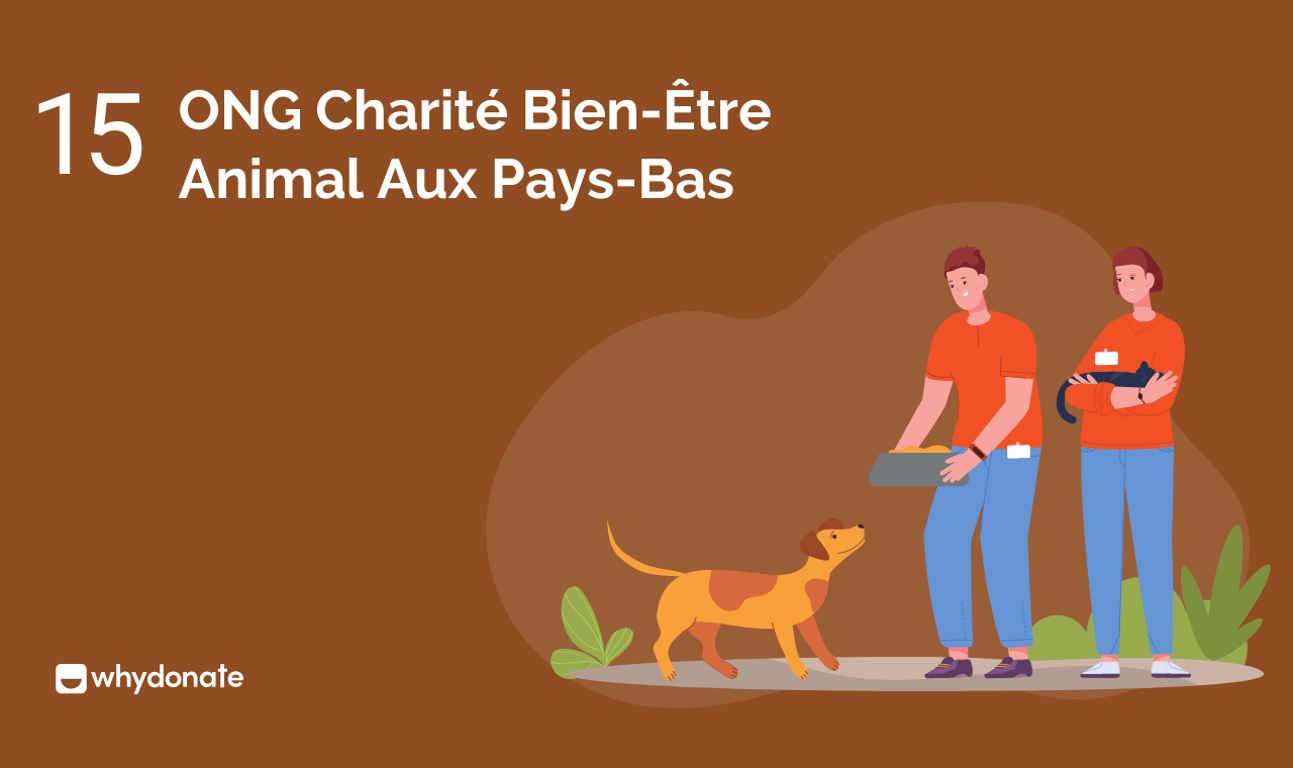Top 15 Des ONG Charité Bien-Être Animal Aux Pays-Bas