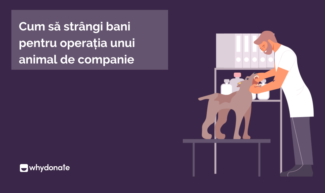 Cum să strângi bani pentru o intervenție chirurgicală a animalului de companie – Strânge fonduri pentru sănătatea animalului tău