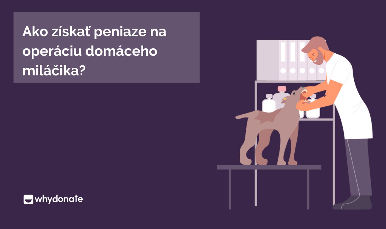 Ako Získať Peniaze na Operáciu Zvierat – Aranžujte Fundraising pre Vašu Pet Healthcare