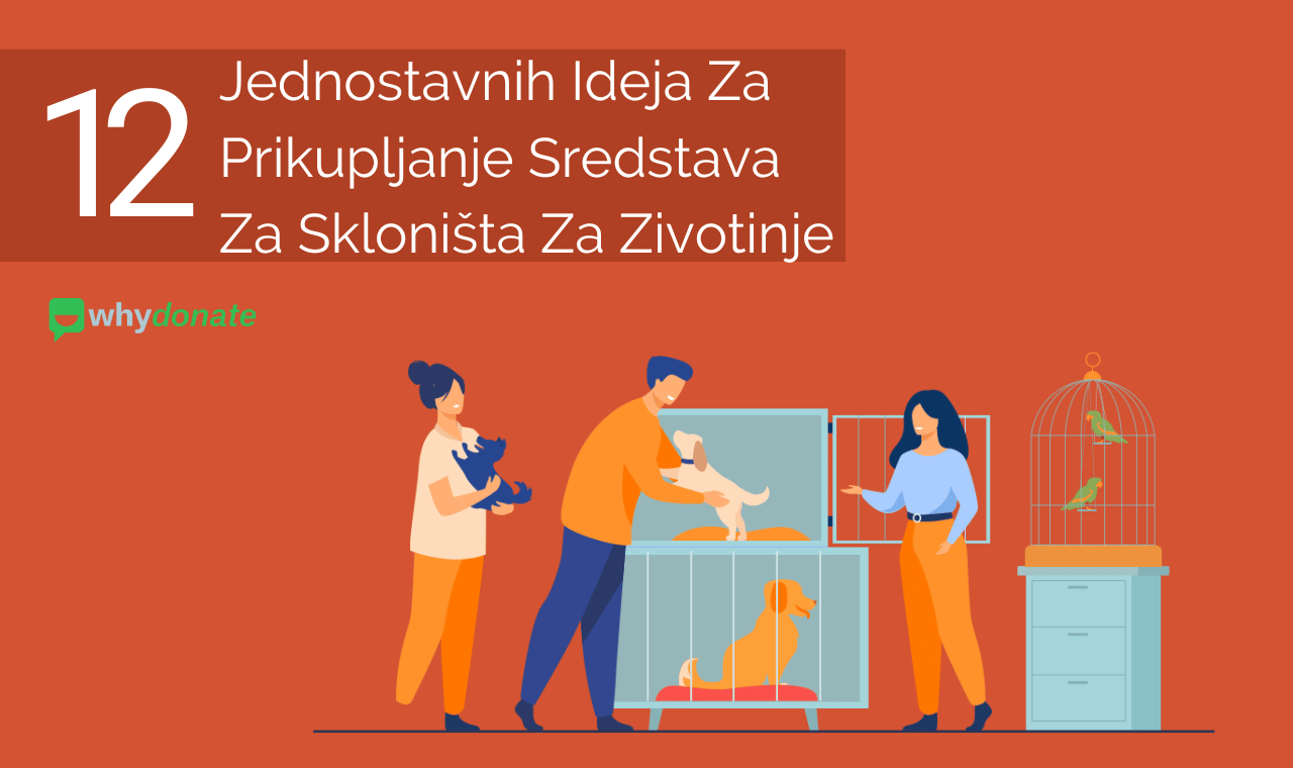 12 Jednostavnih Ideja Za Prikupljanje Sredstava Za Skloništa Za Zivotinje