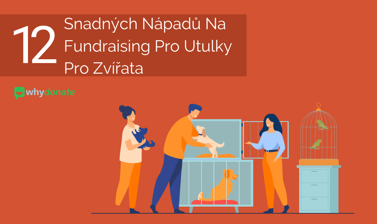 12 Snadných Nápadů Na Fundraising Pro Utulky Pro Zvířata