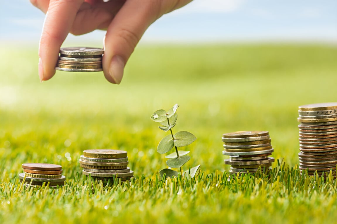 result_columns-coins-grass.jpg