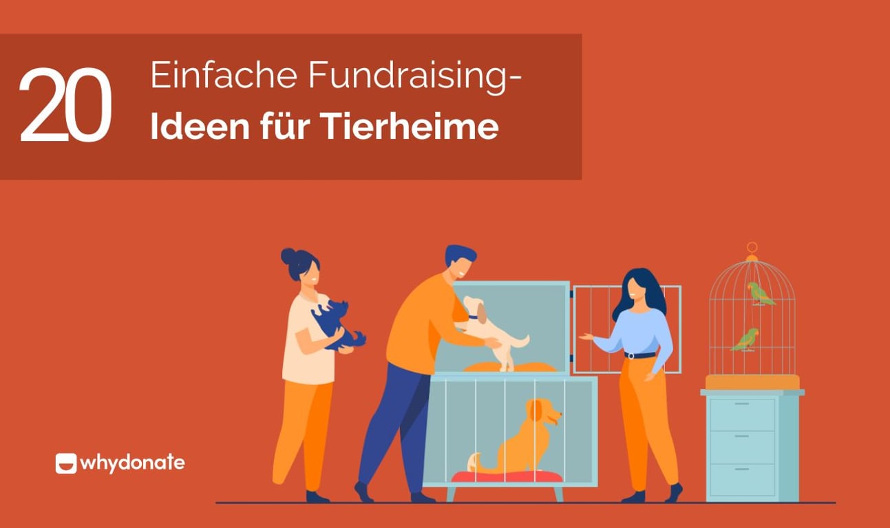 20 Einfache Fundraising-Ideen Für Tierheime