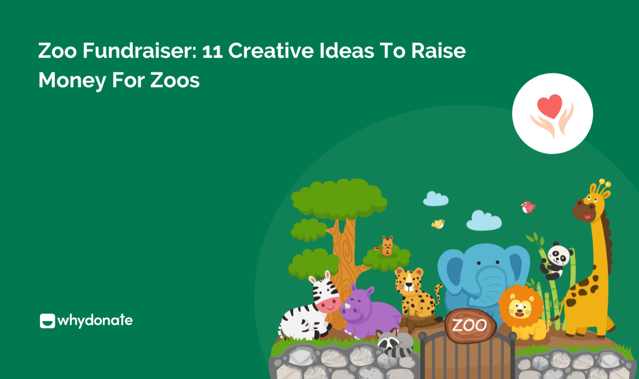 Zoo Fundraiser: 11 Creative Ideas to Raise Money for Zoos