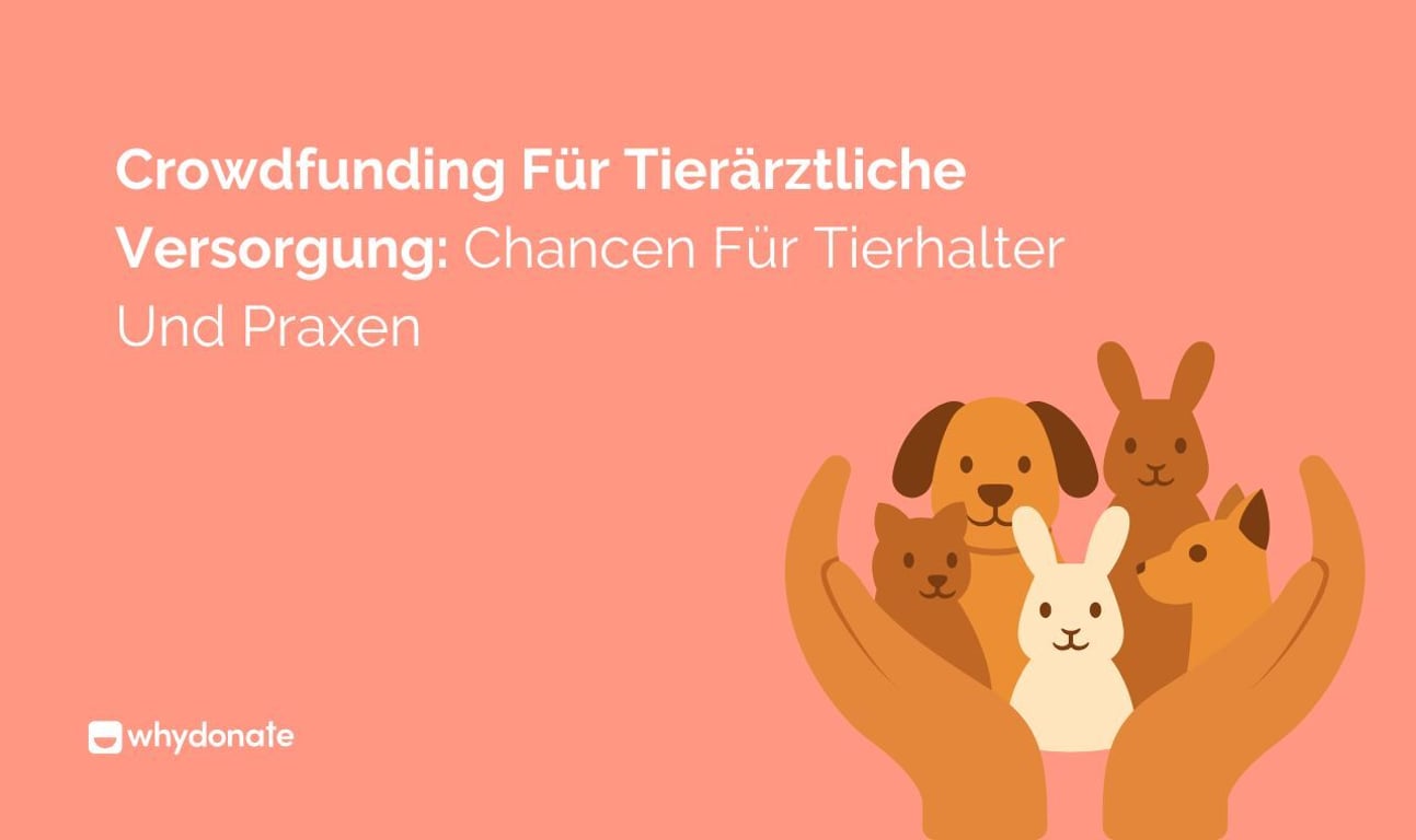 Crowdfunding Für Tierärztliche Versorgung: Chancen Für Tierhalter Und Praxen