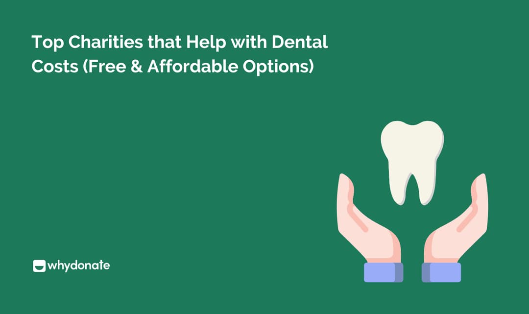 Top Charities that Help with Dental Costs (Free & Affordable Options)