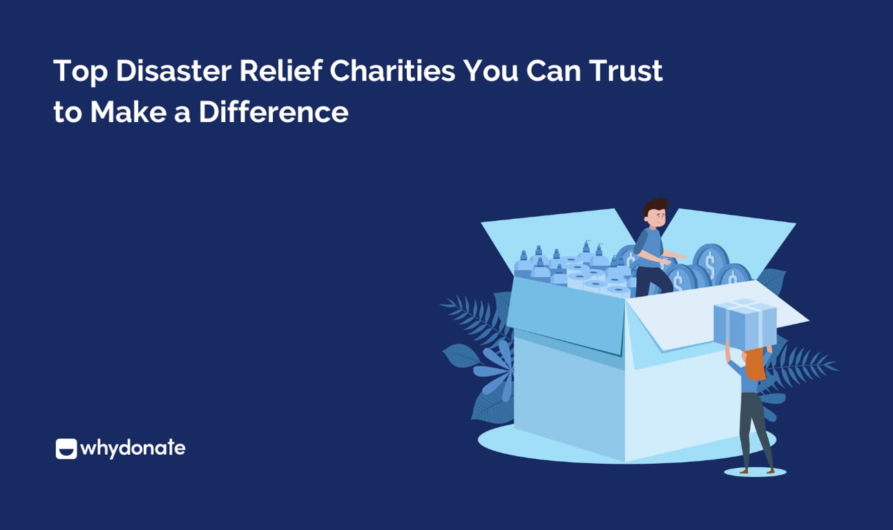 Top Disaster Relief Charities You Can Trust to Make a Difference