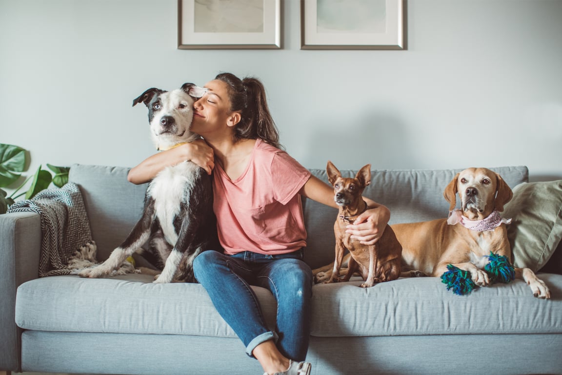 fundraising-ideas-for-medical-expenses-Pet-sitting.png