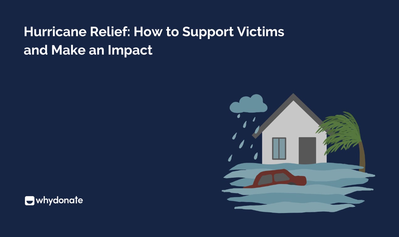 Hurricane Relief: How to Support Victims and Make an Impact