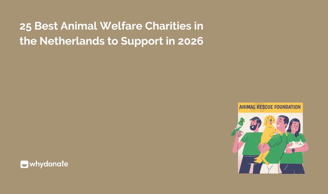 25 Best Animal Welfare Charities in the Netherlands to Support in 2026
