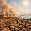 Planetary Health Check Finds Seven Boundaries Breached image