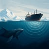 Arctic Underwater Noise And Shipping topic image