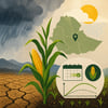 Climate Impacts on African Agriculture topic image