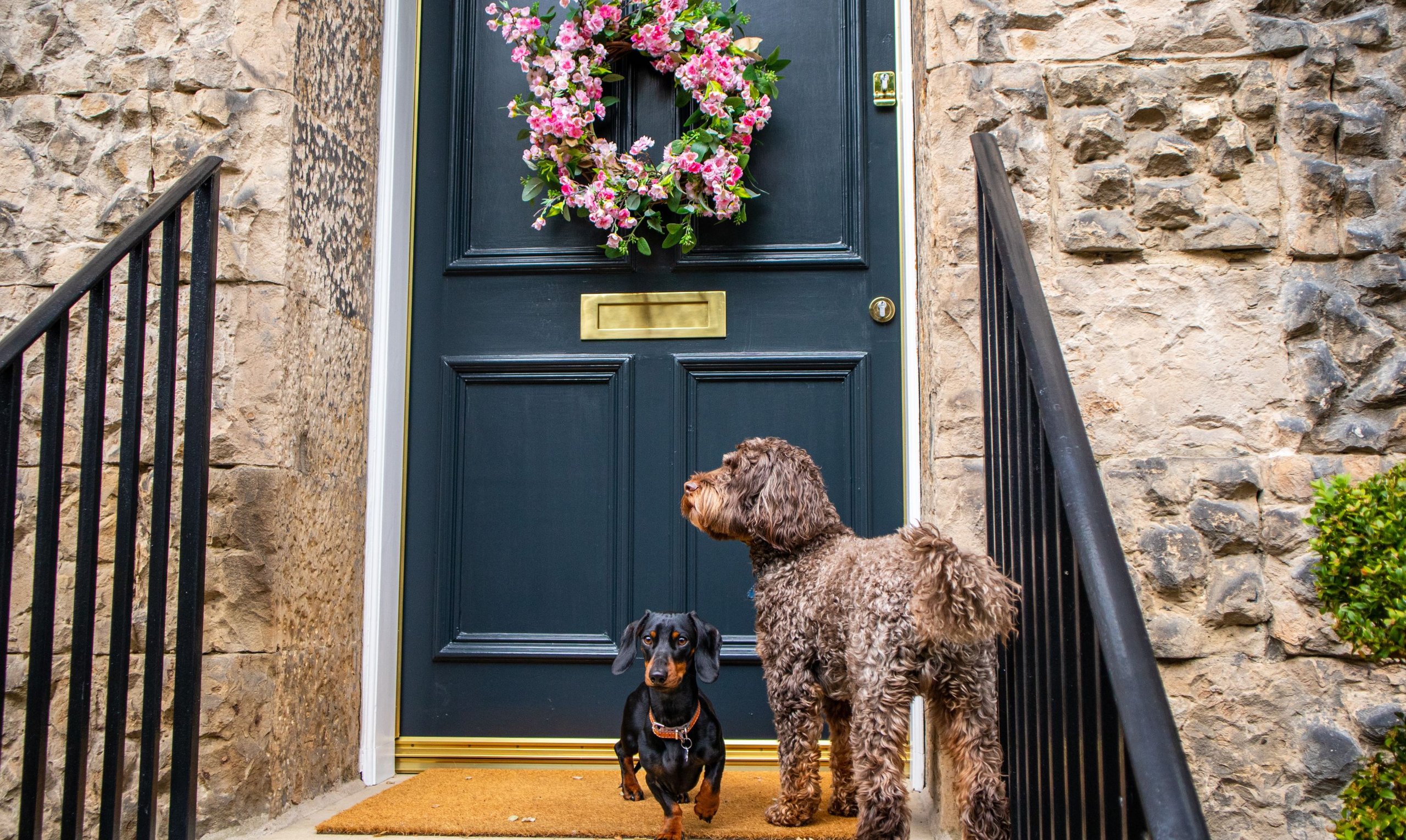 Scottish PR agency captures Ziggy and Reggie at their Abercromby Place home
