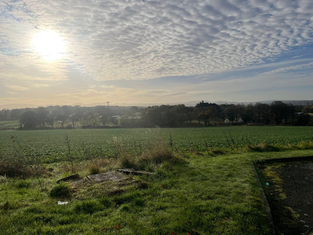 View from Craigiehall Meadows | Property PR