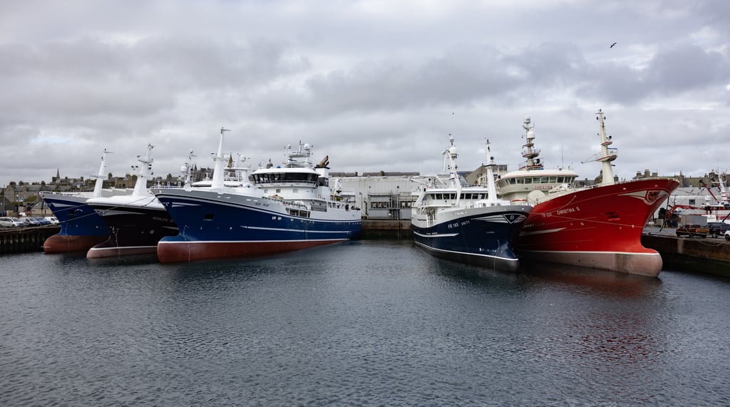 Pelagic vessels | Scottish Fishermen's Federation | Public affairs Scotland