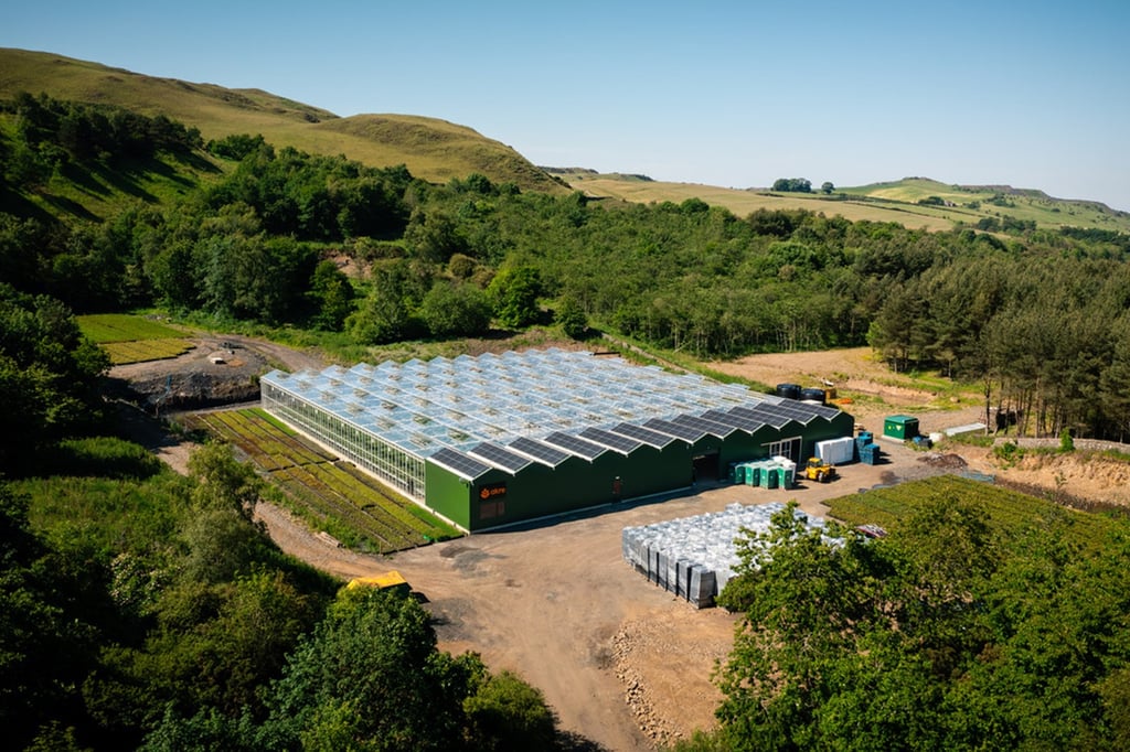 Renewables PR photography shows Akre's carbon-negative tree nursery
