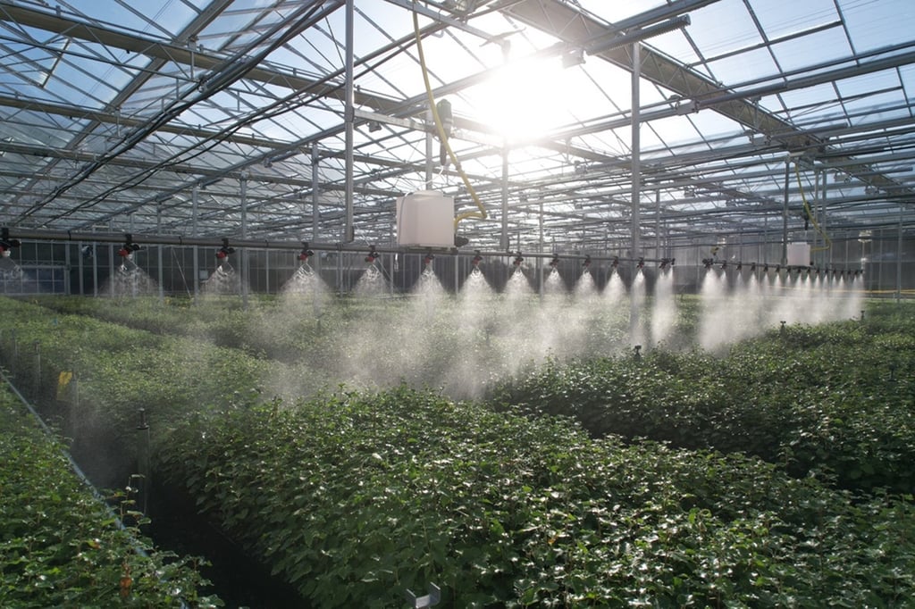 Renewables PR photography shows Akre's tree nursery