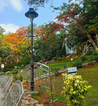 Campus Image
