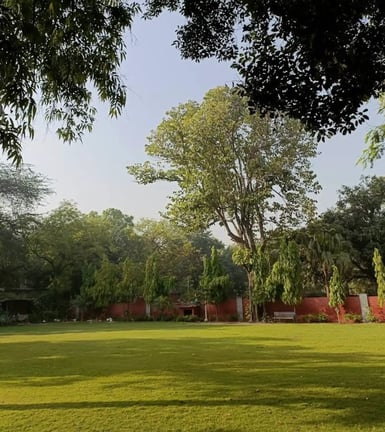 Campus Image