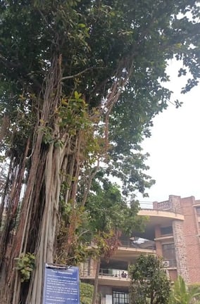 Campus Image
