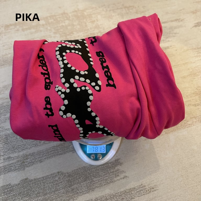 Sp5der P*NK Sweatpants Pink - 10
