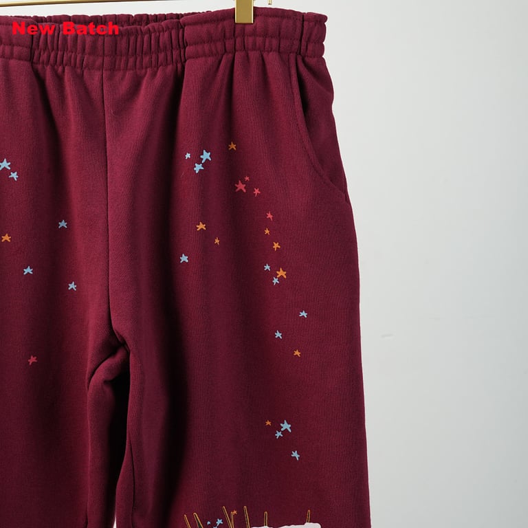 Sp5der Logo Sweatpant Maroon - 38